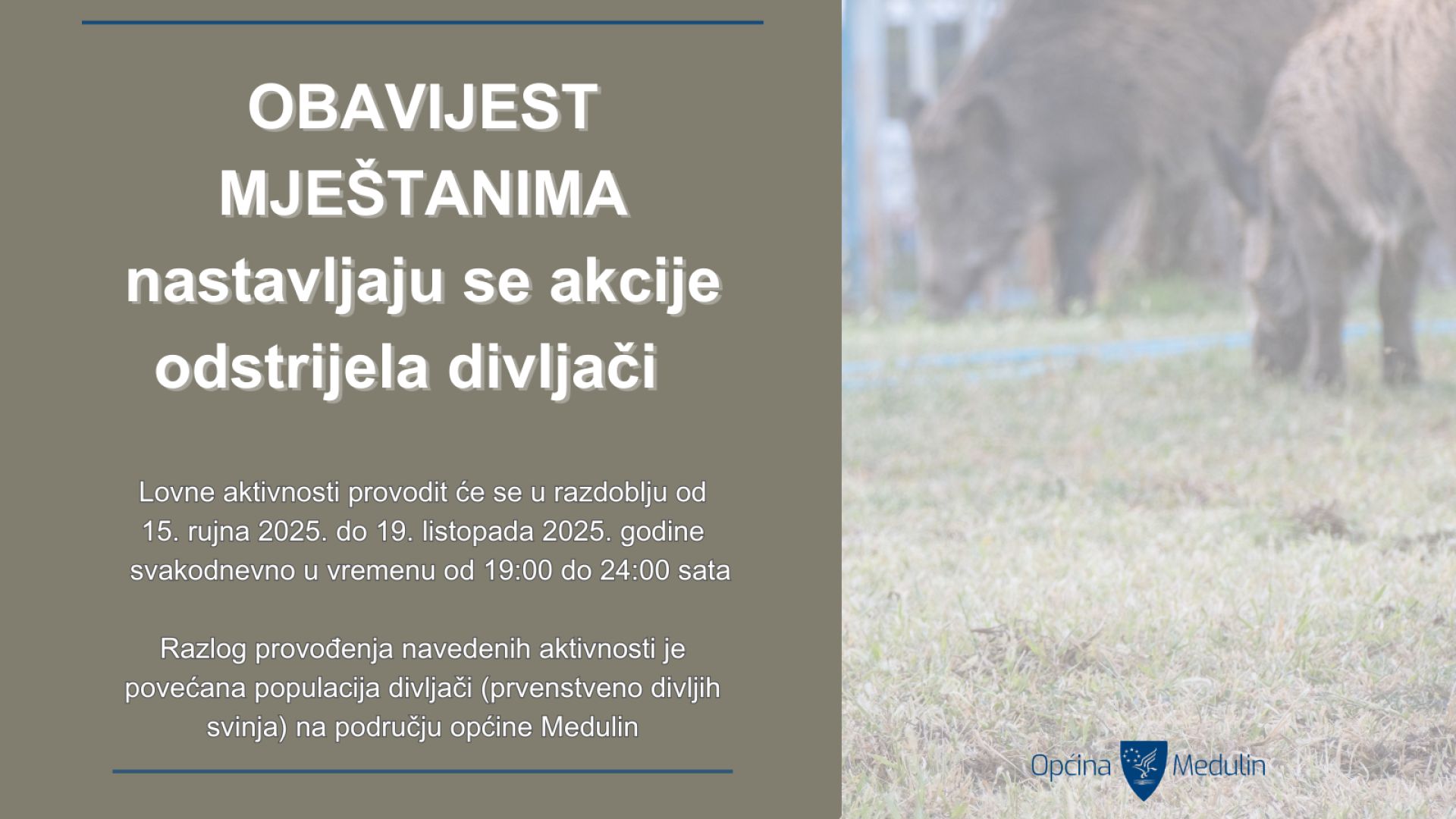 Obavjest mještanima - nastavlja se akcija odstrijela divljači na području općine Medulin